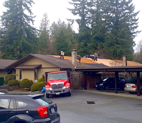 Roofing Services in Arlington, WA